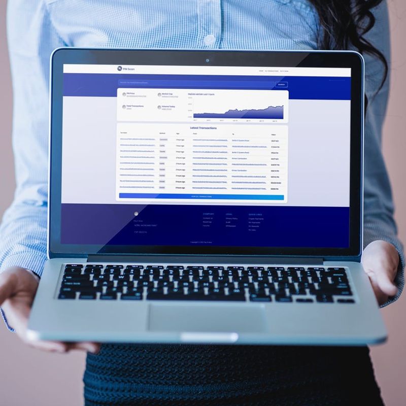 A person holding a laptop with PIN Scan open in their browser